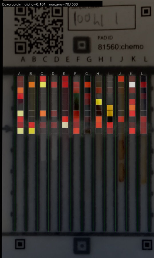 The same card with a grid overlay highlighting the colour cells the Doxorubicin concentration model relies on.