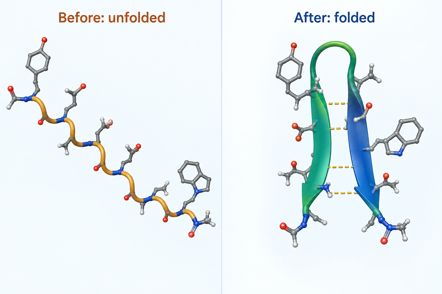 Chignolin before and after AlphaFold prediction